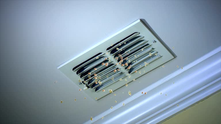 Best Ductwork Cleaning Services  in Dresser, WI